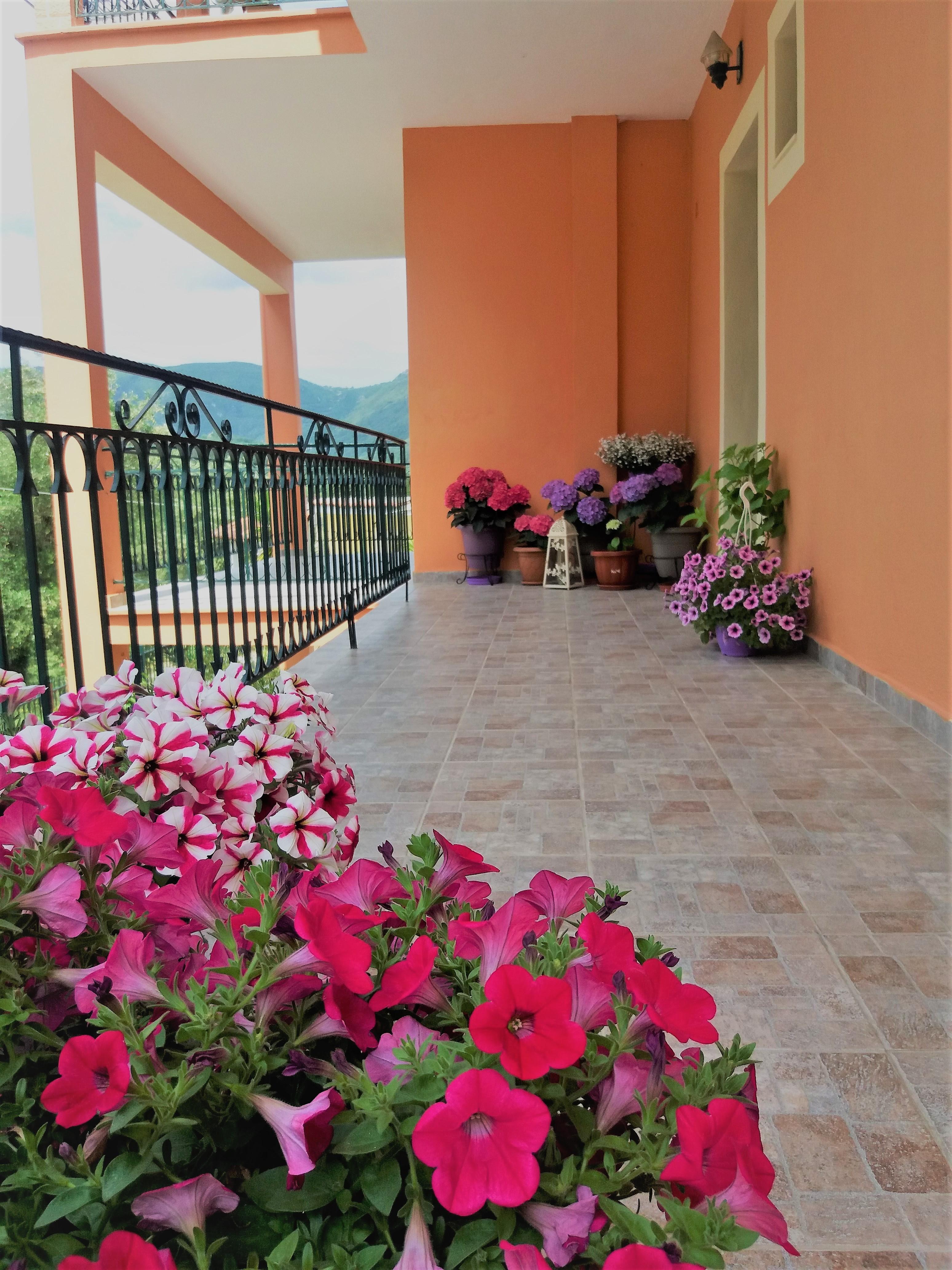 Ziogas Luxury Apartments Dassia  Exterior foto